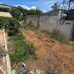 Bán đất Suối Thông C Đơn Dương Lâm Đồng 301m2 - Ảnh thu nhỏ 5