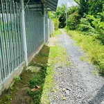 Bán nhà 375m2, 3 phòng ngủ tại Phú Túc, Bến Tre - Ảnh thu nhỏ 1