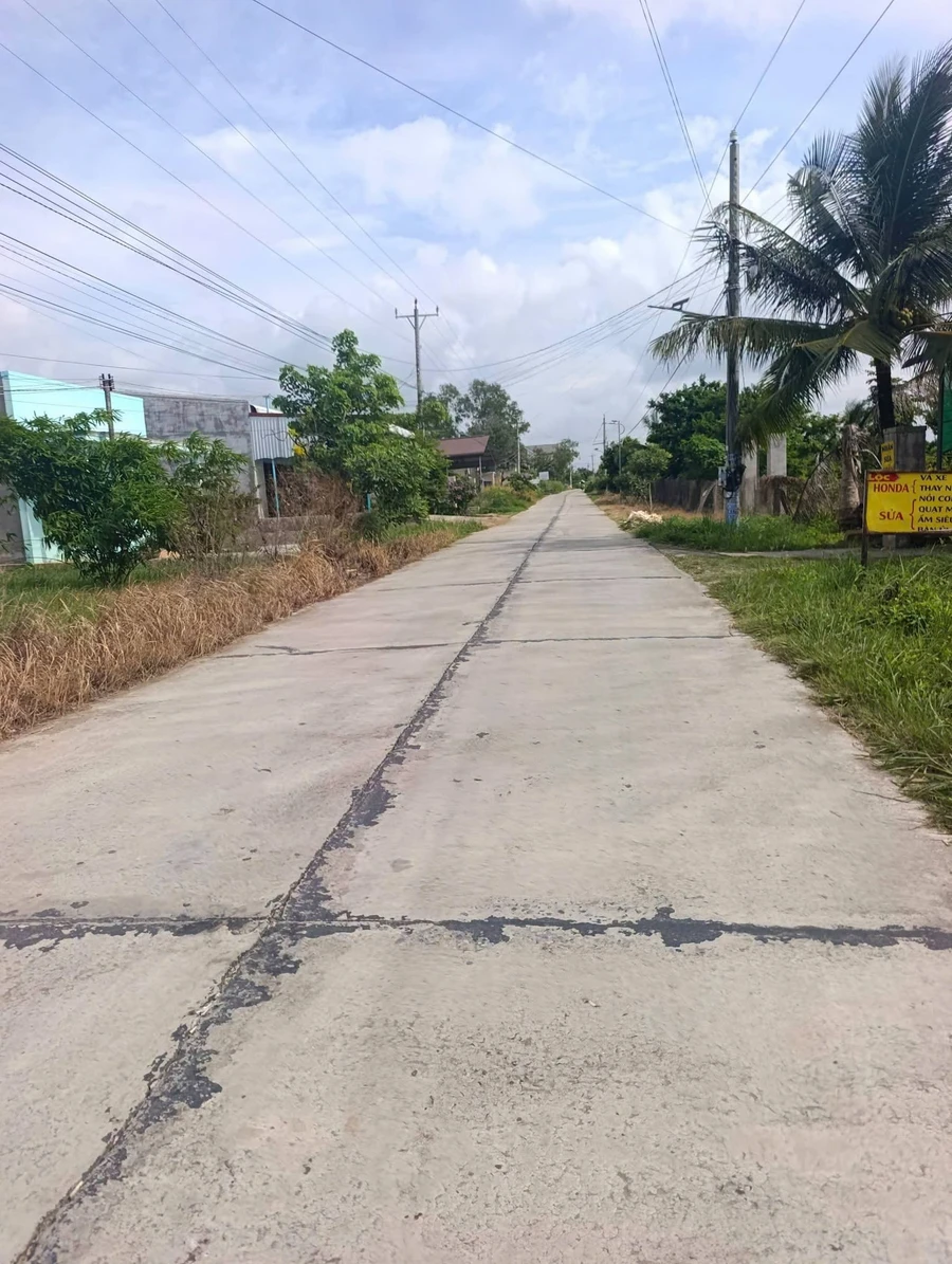 Bán vườn cây ăn trái 1.000m² Lâm Đồng 280 triệu - Ảnh thu nhỏ 4