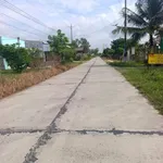 Bán vườn cây ăn trái 1.000m² Lâm Đồng 280 triệu - Ảnh thu nhỏ 4