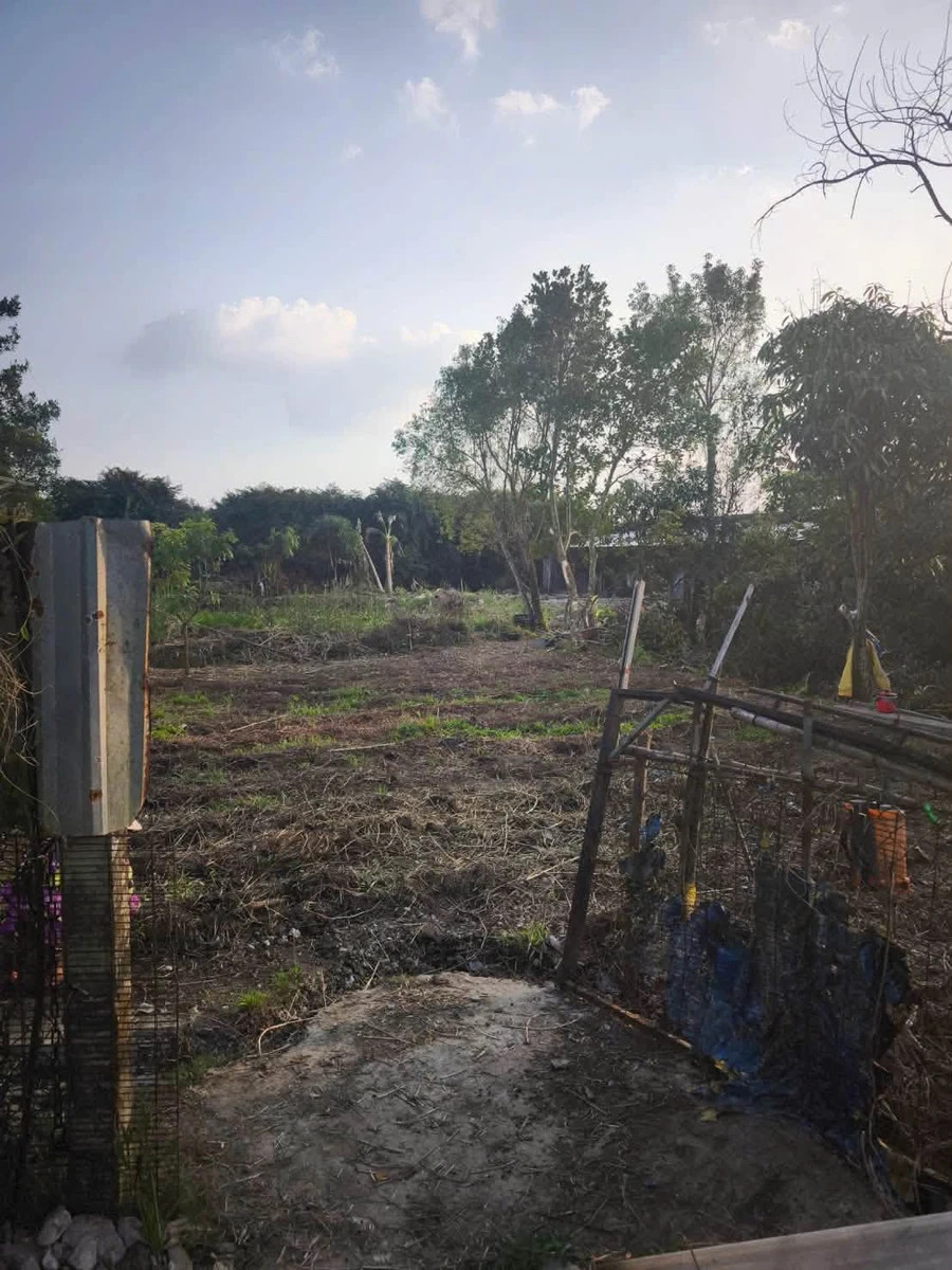 Bán đất Phường An Bình Cần Thơ 2.638 m2 giá 2 triệu/m2 - Ảnh thu nhỏ 4