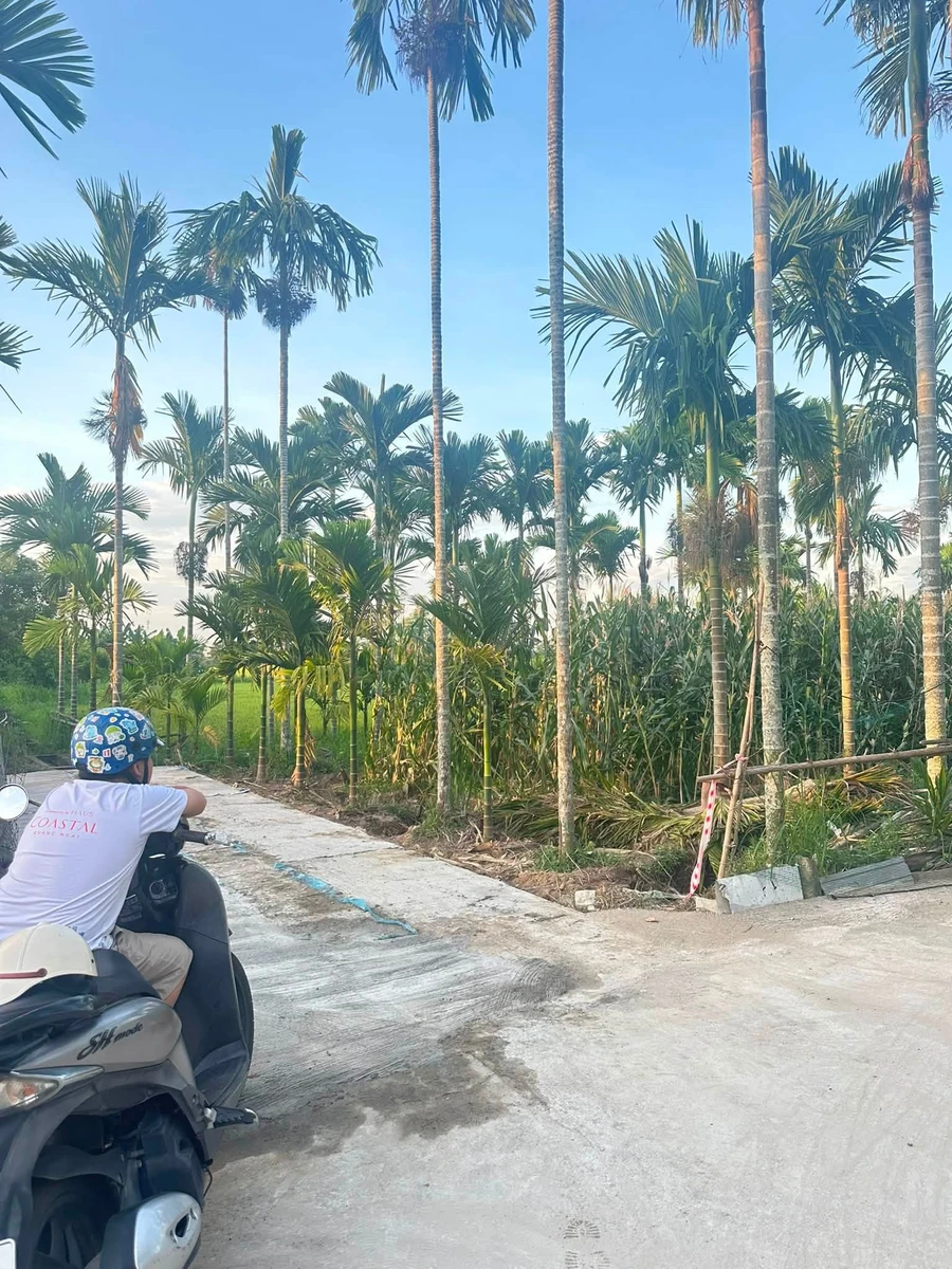 Bán 2 lô đất Hóc Môn 200m² mỗi lô, 3 tỷ/lô - Ảnh thu nhỏ 2