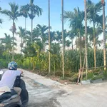 Bán 2 lô đất Hóc Môn 200m² mỗi lô, 3 tỷ/lô - Ảnh thu nhỏ 2
