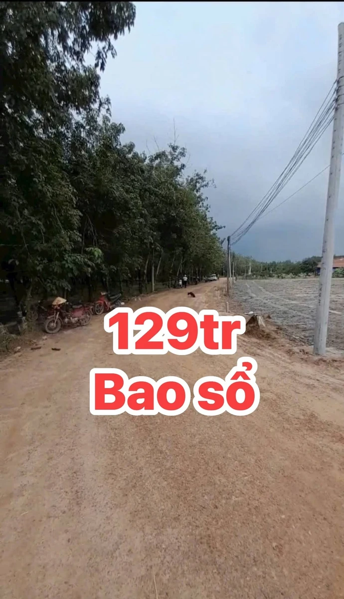 Bán nền đất 200m² giá 129 triệu Tân Bình Bình Chánh - Ảnh thu nhỏ 2