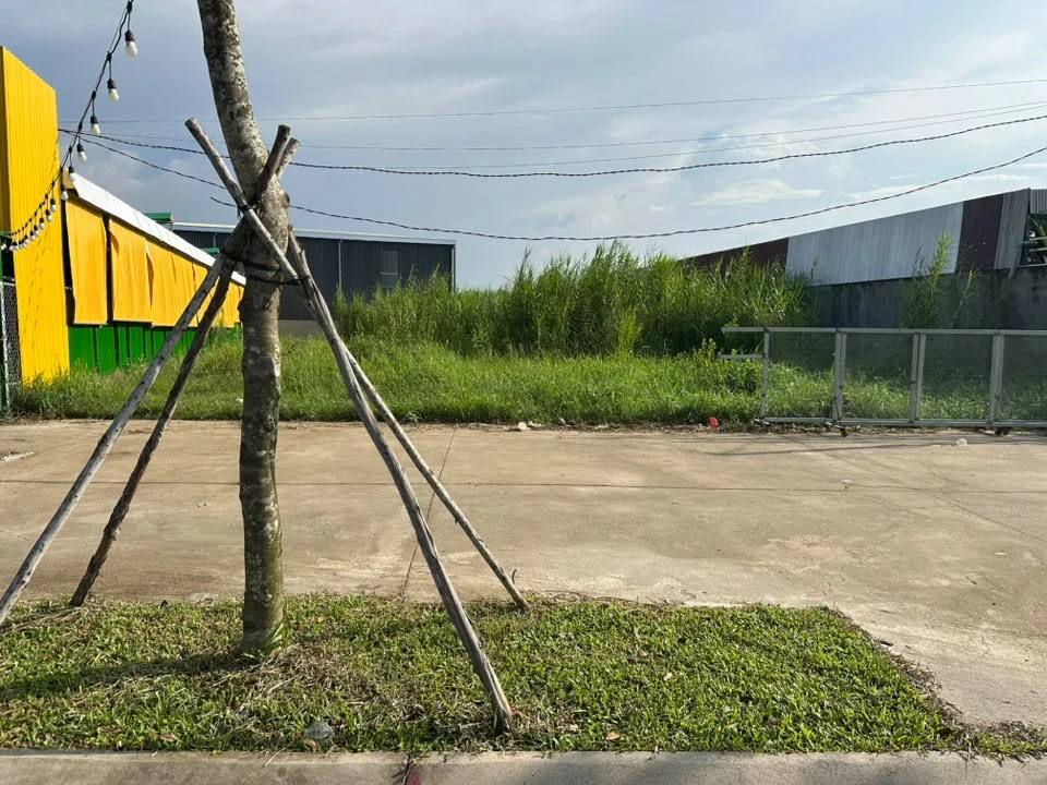 Bán đất mặt tiền Đại Lộ Đông Tây Bến Tre 262m2, 8 tỷ 9 - Ảnh thu nhỏ 2