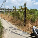 Bán lô đất 1212m² Cần Giuộc Tây Ninh - Ảnh thu nhỏ 1