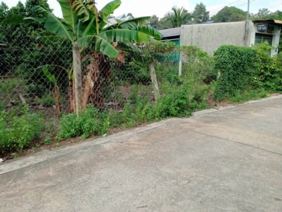 Bán lô đất thổ cư ngang 10m, 100m2 nhánh đường Bà 39, Phú An giá 3 tỷ - Ảnh 1