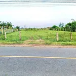 Bán đất 1200m2, 330m thổ cư, mặt tiền Phan Thiết - Ảnh thu nhỏ 2