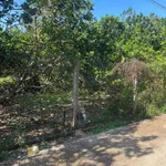 Bán đất 500 m² gần trung tâm Long Khánh 890 triệu - Ảnh thu nhỏ 3