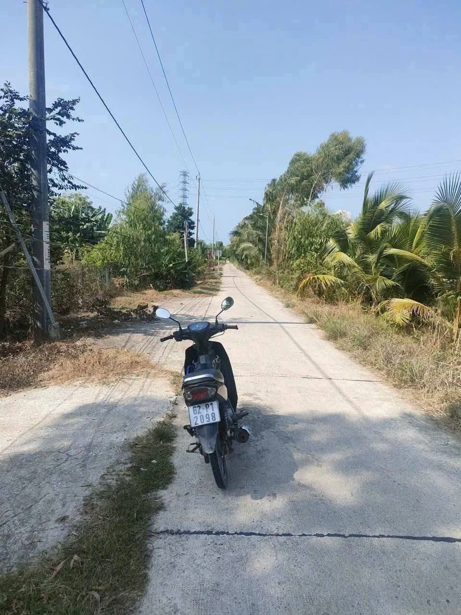 Bán nhà yến 1270m2 tại Thạnh Lợi, Tây Ninh, 4 tỷ - Ảnh thu nhỏ 2