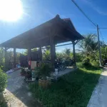 Bán đất 566m² thổ cư 126m² Cần Giờ 2.8 tỷ - Ảnh thu nhỏ 3