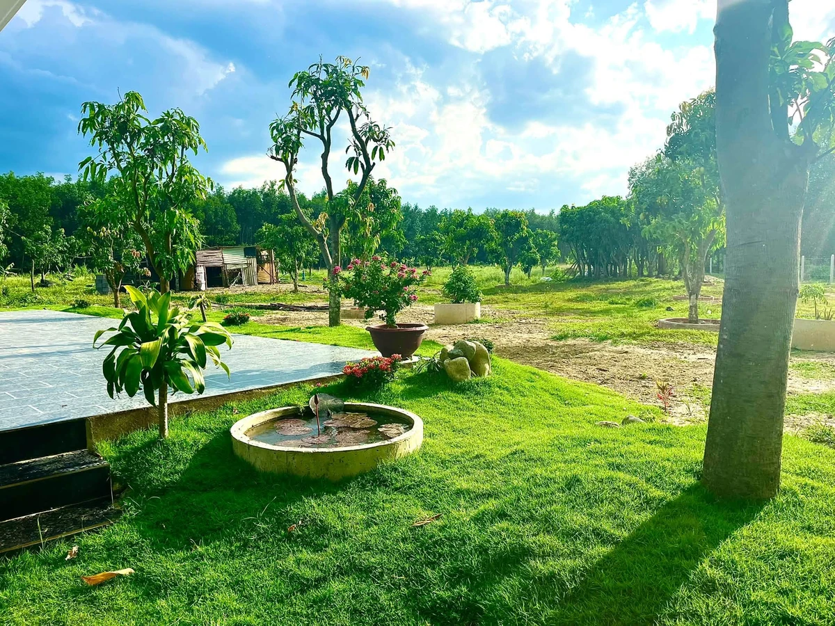 Bán đất nông nghiệp Diên Đồng 1,2ha – farmstay, trang trại 4 tỷ - Ảnh thu nhỏ 4