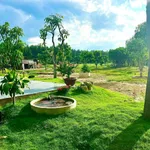 Bán đất nông nghiệp Diên Đồng 1,2ha – farmstay, trang trại 4 tỷ - Ảnh thu nhỏ 4
