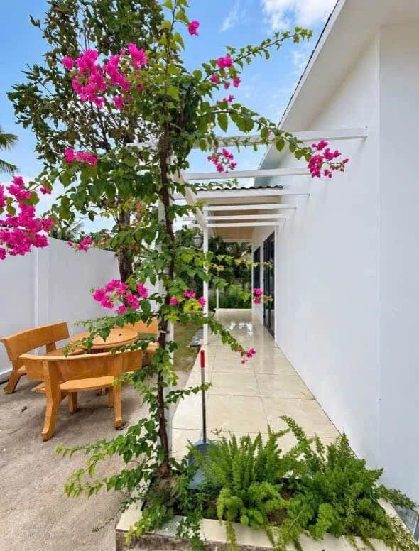 Bán đất Phường Bình Lộc Đồng Nai 240m² full thổ cư - Ảnh thu nhỏ 2