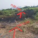 Bán nền đất 87m² thổ cư Tân Lân Nam Phong Cần Dước 790 triệu - Ảnh thu nhỏ 4