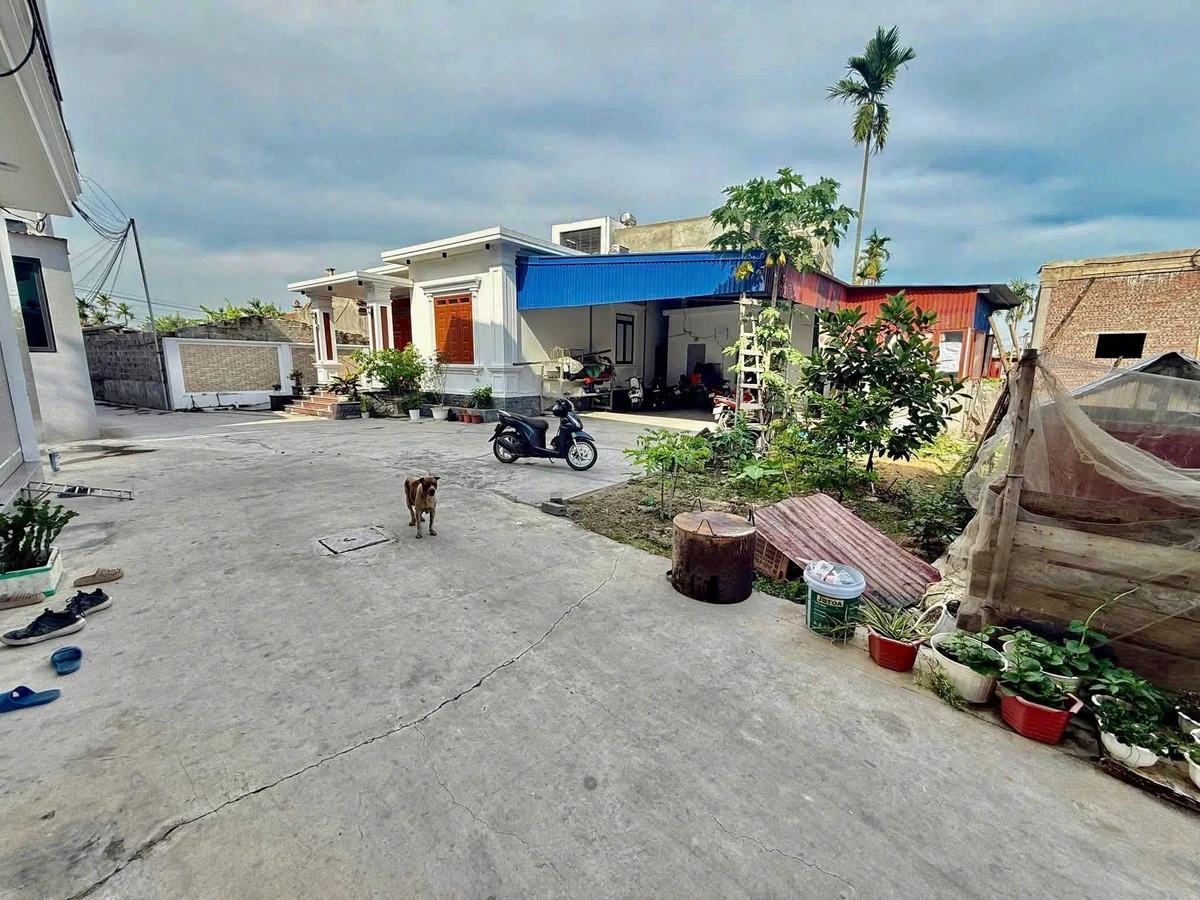 Bán lô đất 61m² gần Vọng Hải, giá 1 tỷ 2, Hải Phòng - Ảnh thu nhỏ 2