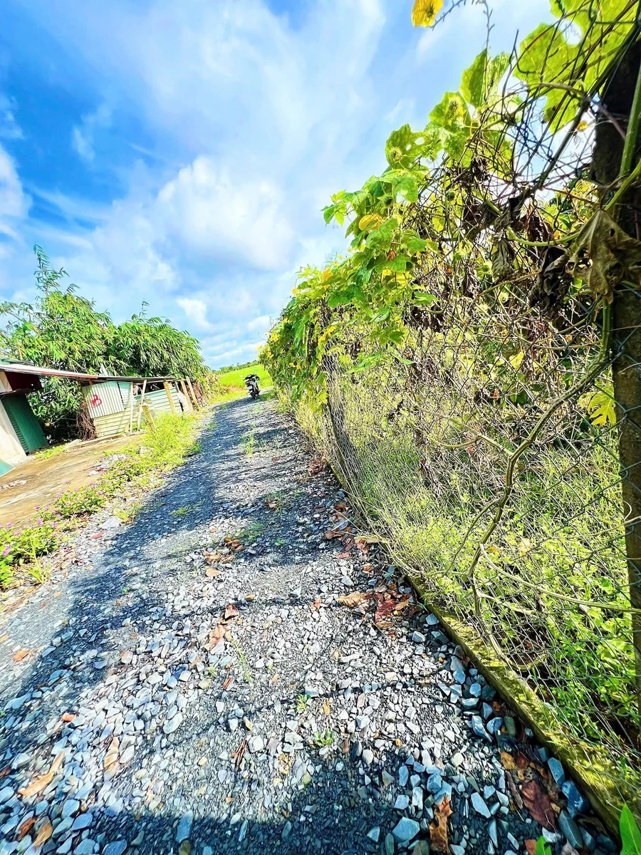 Bán đất 10.844m2 hai mặt tiền đường tại xã Long Khánh, Bến Cầu, Tây Ninh - Ảnh thu nhỏ 3