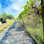 Bán đất 10.844m2 hai mặt tiền đường tại xã Long Khánh, Bến Cầu, Tây Ninh - Ảnh thu nhỏ 3