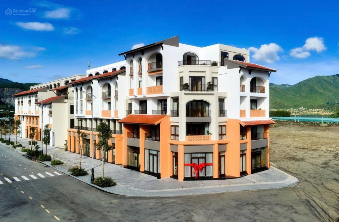 Sở hữu biệt thự song lập D1615 Charmora City 200m2 giá 22,1 tỷ, vị trí đẹp, tăng giá tốt - Ảnh 1