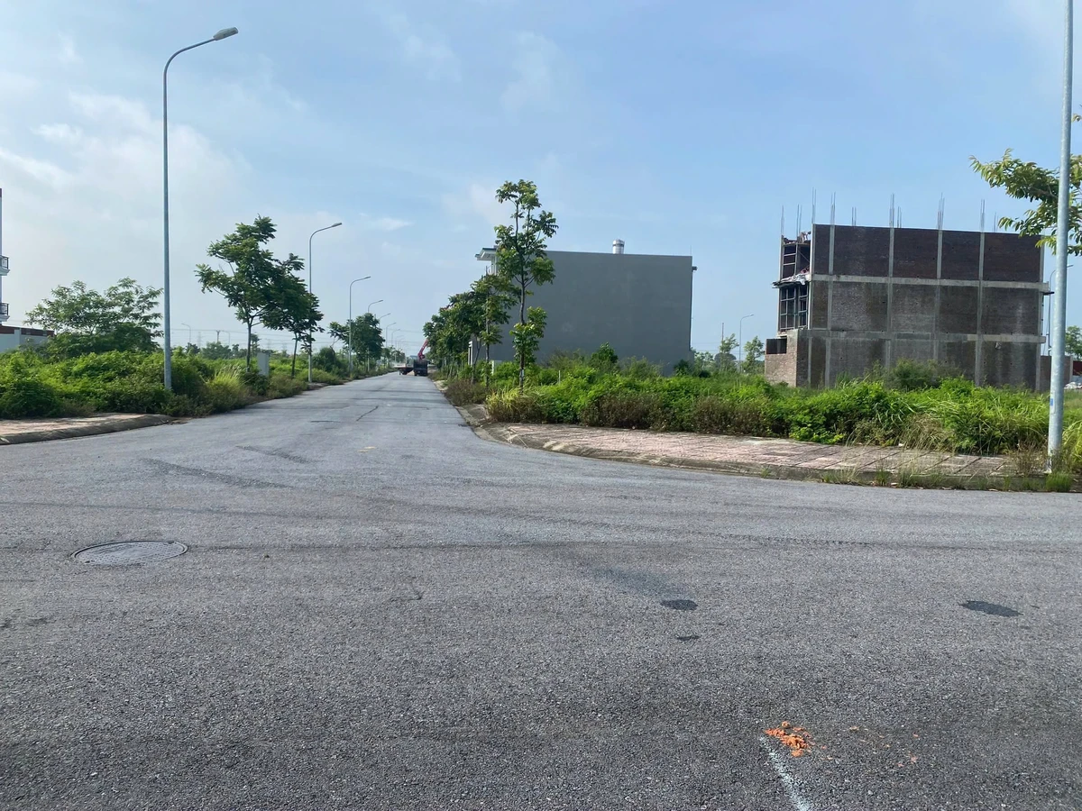 Bán lô góc 122.5m2 KĐT Nam Vĩnh Yên, 5.8 tỷ - Ảnh thu nhỏ 4