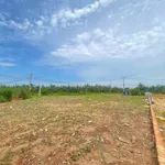 Bán đất nền 101-123m² Xã An Viễn, Đồng Nai, giá từ 680 triệu - Ảnh thu nhỏ 2