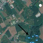 Bán 2,3ha đất trồng điều giá 4,5 tỷ Đồng Nai - Ảnh thu nhỏ 1