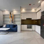 Cho thuê căn hộ 1 phòng ngủ 40m2 đầy đủ nội thất, Tân Bình - Ảnh thu nhỏ 1