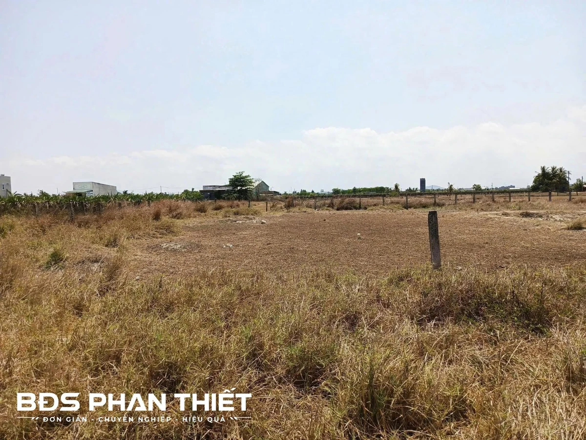 Bán đất mặt tiền 1.000m² Bình Thuận - 1 tỷ 250 triệu - Ảnh thu nhỏ 2