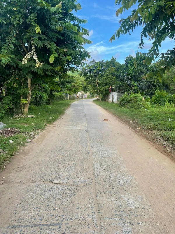 Bán lô đất vườn 2500m² view cánh đồng Hòa Bắc