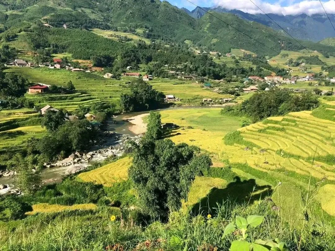 Bán nhà sàn 2 tầng homestay 1000m² Sa Pa - Ảnh thu nhỏ 2
