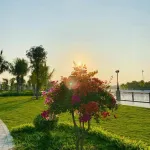 Quỹ 200 căn đẹp T10/2026 Vinhomes Grand Park những căn đáng sở hữu nhất - vị trí đẹp - Ảnh thu nhỏ 24