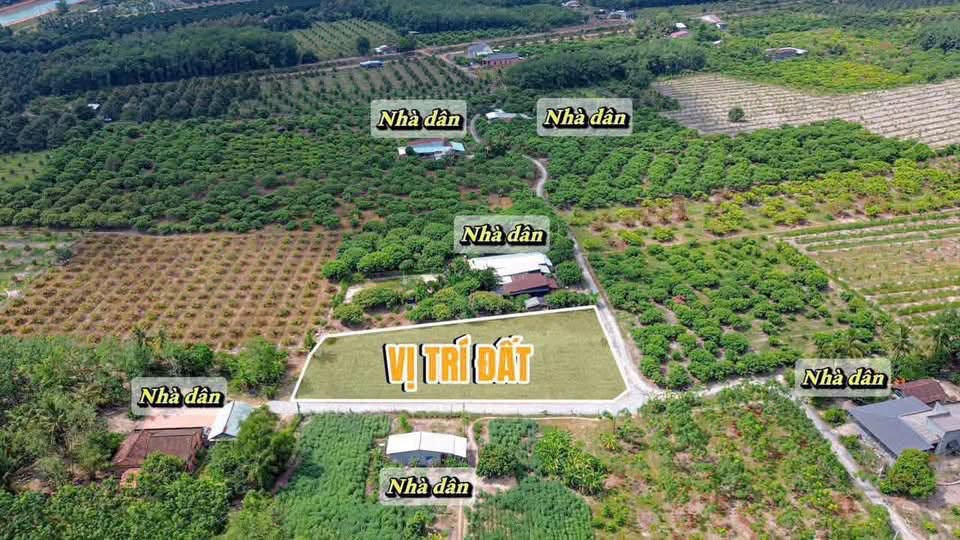 Bán đất 155m² Trương Mít Tây Ninh 209 triệu - Ảnh thu nhỏ 3