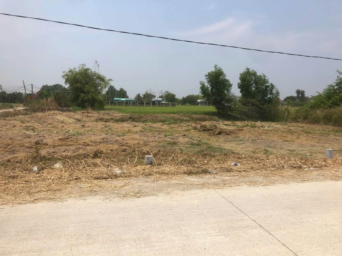 Bán gấp 7 lô đất thổ cư từ 120m2 giá 600 triệu/lô tại Phước Đông, Cần Đước - Ảnh thu nhỏ 4