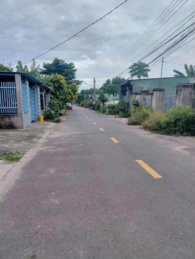 Bán nhà đất Phú An 197m² 1 tỷ 250 - Ảnh 1