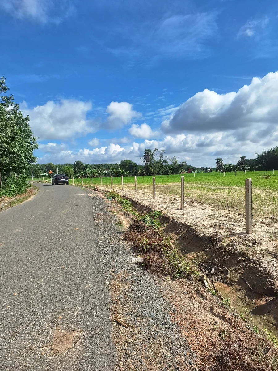Bán lô đất 250m² đường nhựa Long Thuận, Tây Ninh - 199 triệu - Ảnh thu nhỏ 4