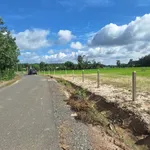 Bán lô đất 250m² đường nhựa Long Thuận, Tây Ninh - 199 triệu - Ảnh thu nhỏ 4