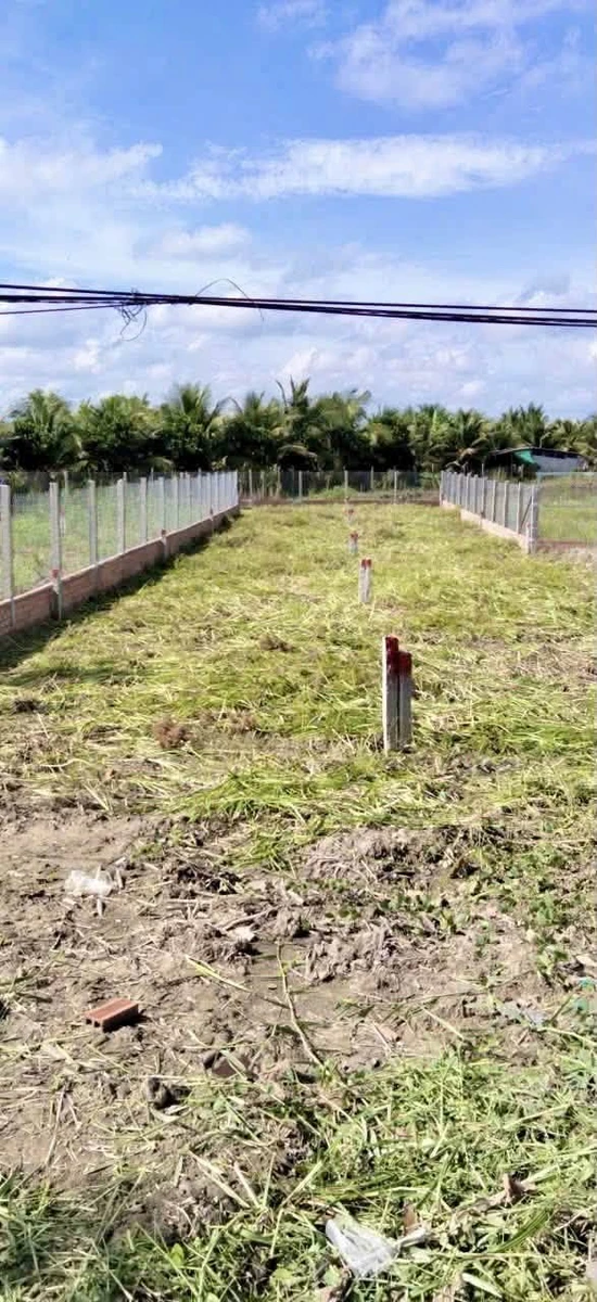 Bán 2 thửa đất mặt tiền tỉnh lộ 908, Vĩnh Long, 485 m² - Ảnh thu nhỏ 2
