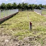 Bán 2 thửa đất mặt tiền tỉnh lộ 908, Vĩnh Long, 485 m² - Ảnh thu nhỏ 2