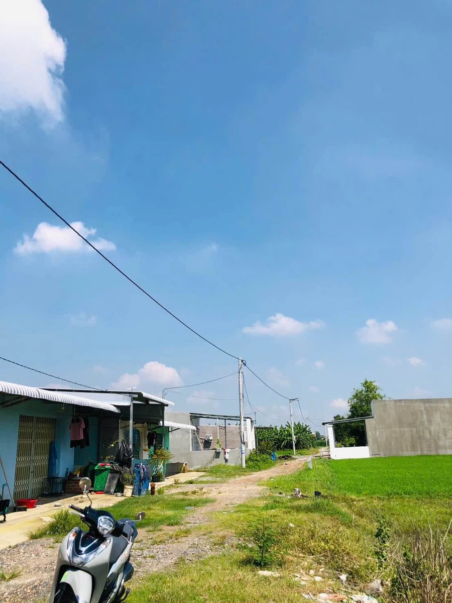 Bán đất Xã Hậu Nghĩa Nhà Bè 496m2 SHR 1 tỷ 4 - Ảnh thu nhỏ 2