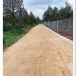 Bán đất thổ cư 91m² giá 490 triệu gần chợ Xuân Bảo - Ảnh thu nhỏ 4