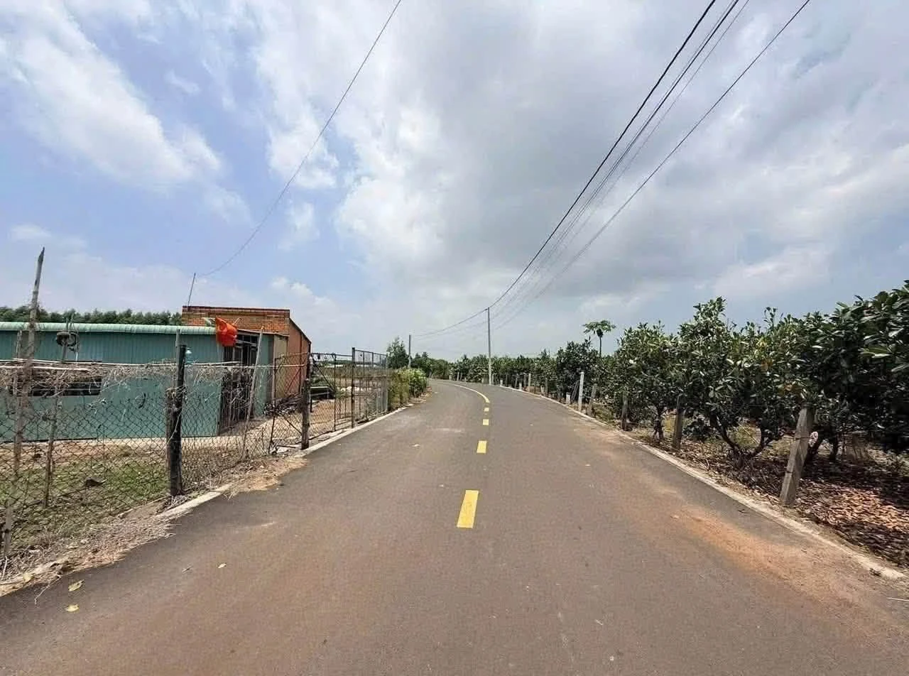 Bán đất mặt tiền 317m2 sát KCN Đất Đỏ 1,2 tỷ - Ảnh 1