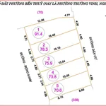 Bán lô đất 91,4m² Bến Thủy, Nguyễn Du, 3,6 tỷ - Ảnh thu nhỏ 2