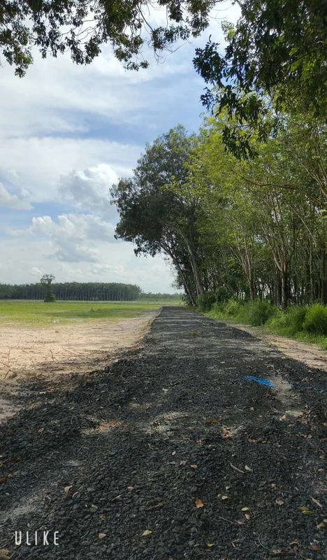 Bán đất vườn 1000m² Phường Bình Minh Tây Ninh 269 triệu