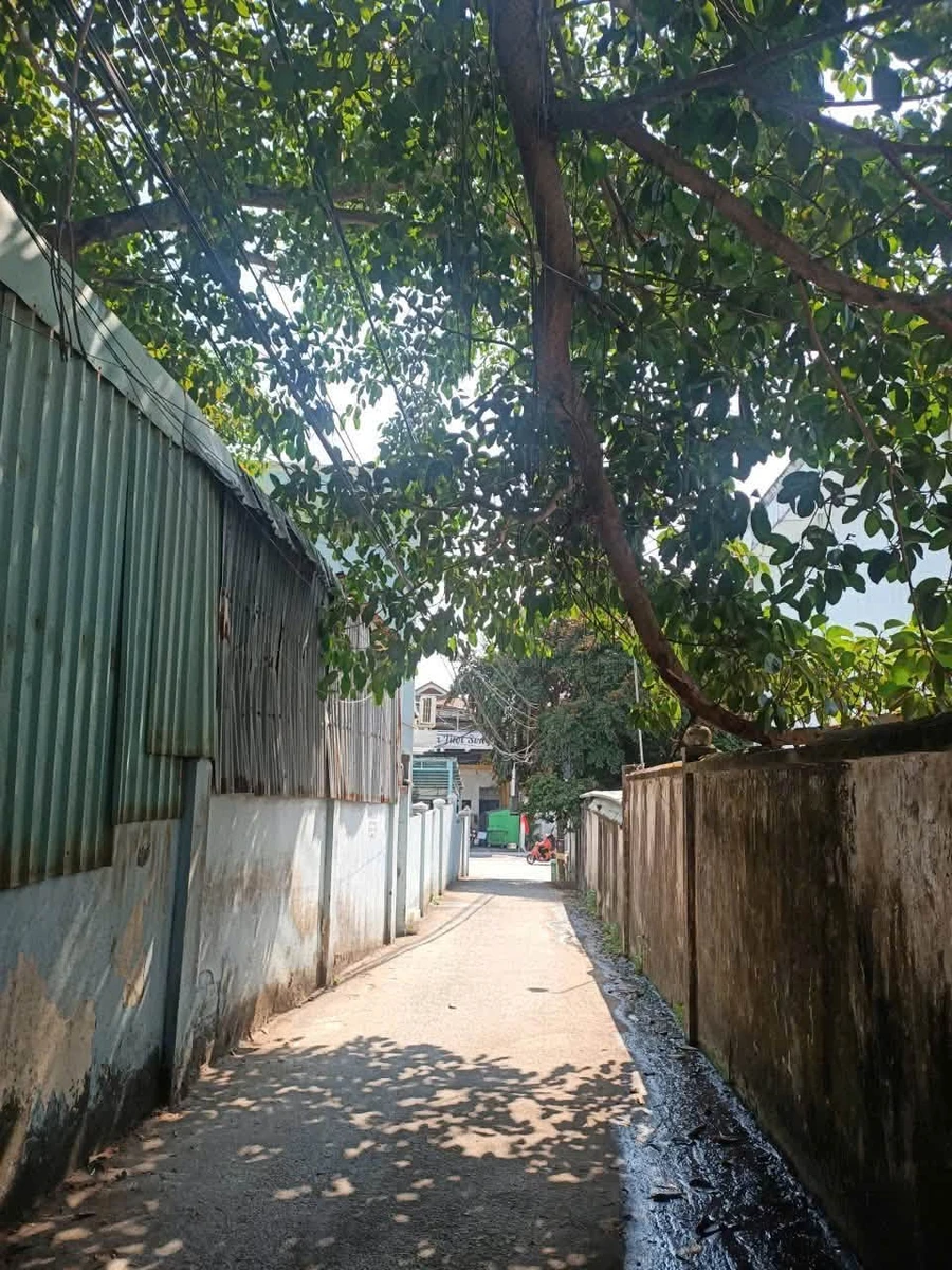 Bán đất 109m² view biển gần Chợ Đêm Phú Quốc 3,5 tỷ - Ảnh 1