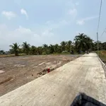 Bán đất thổ cư 175m2 giá 1 tỷ 299 triệu/nền gần Khu TĐC Tân Bửu, Bình Chánh - Ảnh thu nhỏ 5