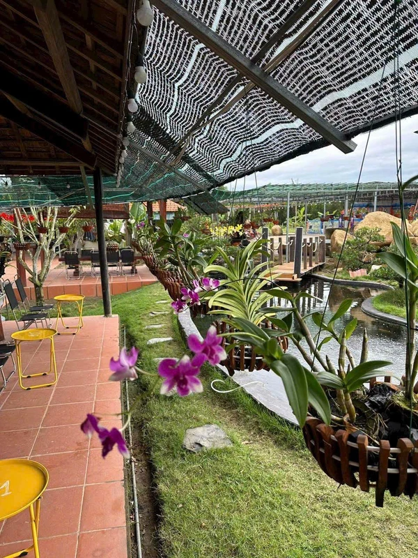 Bán farm 14.500m² Khánh Hòa giá 12 tỷ đã hạ