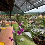 Bán farm 14.500m² Khánh Hòa giá 12 tỷ đã hạ - Ảnh thu nhỏ 1
