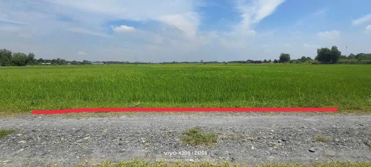 Bán đất 27x35 (945m²) gần Vinhomes, giá 2.2 tỷ - Ảnh thu nhỏ 4