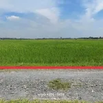 Bán đất 27x35 (945m²) gần Vinhomes, giá 2.2 tỷ - Ảnh thu nhỏ 4