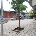 Bán đất 200m² có 10 phòng trọ phố Trần Thị Lan, 5.8 tỷ - Ảnh thu nhỏ 5